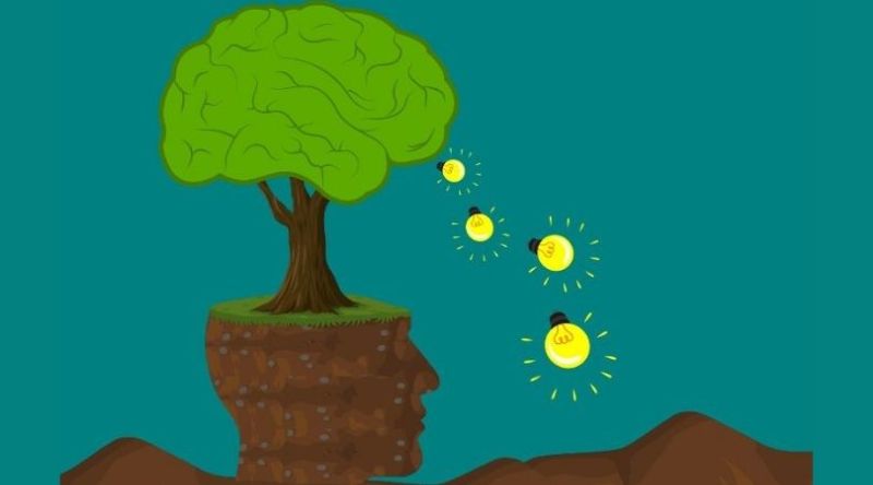 Join the Nature and Climate Online School!